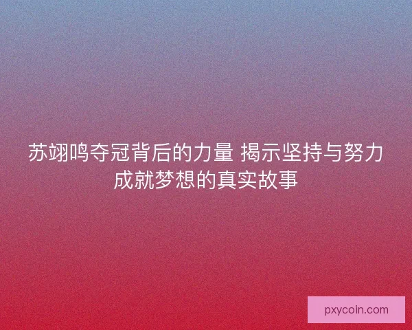 苏翊鸣夺冠背后的力量 揭示坚持与努力成就梦想的真实故事 苏翊鸣夺冠背后的力量 揭示坚持与努力成就梦想的真实故事