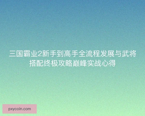 三国霸业2新手到高手全流程发展与武将搭配终极攻略巅峰实战心得