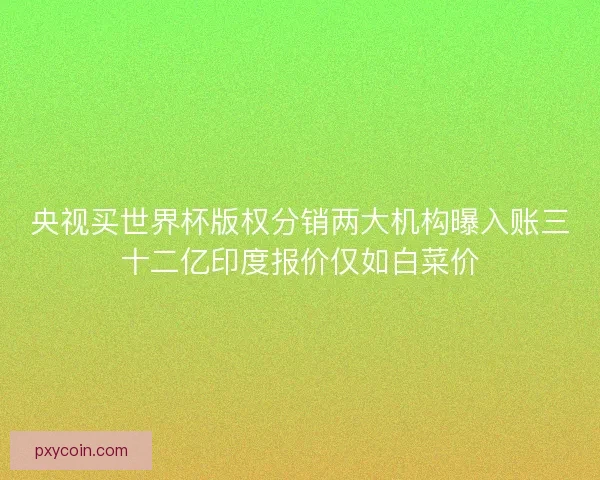 央视买世界杯版权分销两大机构曝入账三十二亿印度报价仅如白菜价 央视买世界杯版权分销两大机构曝入账三十二亿印度报价仅如白菜价